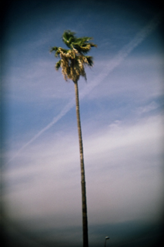 holga bent corners