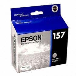 product Epson R3000 Light Black Ink Cartridge