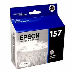 Epson R3000 Light Black Ink Cartridge - Expired
