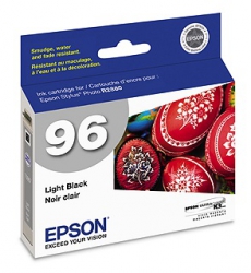 product Epson R2880 Light Black Ink Cartridge