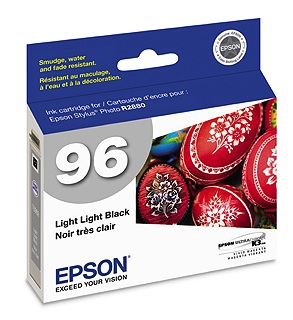Epson Light Light Black Ink Cartridge for Stylus Photo R2880