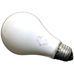 product Ushio Enlarger Bulb PH213 250W
