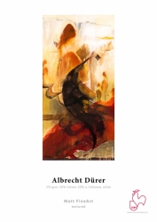 AlbrechtDurerSample