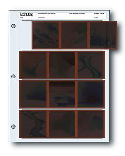 Printfile Archival Negative Preservers 120 size 4 strips of 3 negatives - 100 pack (1204B)