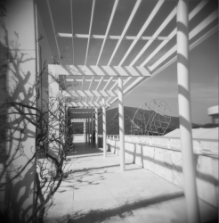 HOLGA 120N PHOTO BY P. WHITE