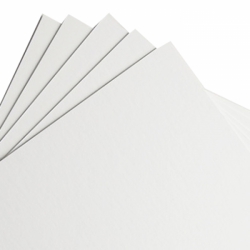 product Savage Mat Board 20x24 White/White - 1 each