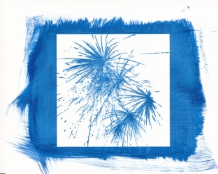Create Glossy Cyanotypes with Adox Art Baryta Sample image by Francesca Di Leo