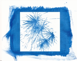 
Create Glossy Cyanotypes with Adox Art Baryta Sample image by Francesca Di Leo