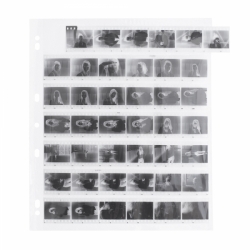 Adox ADOFILE Negative Sleeves for 35mm 7 strips of 6 Negatives - 100 pack 