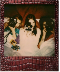 SX-70 Skins 1