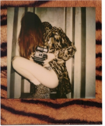 SX-70 Skins 2