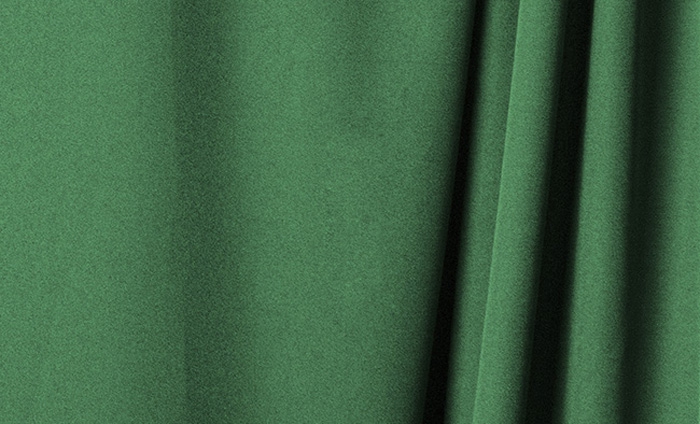 Savage Wrinkle-Resistant Background 5 ft. x 9 ft. - Green