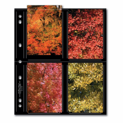 product Printfile BLK35-8S Archival Print Preservers Holds 8 - 3.5x5 prints with Black Background - 25 