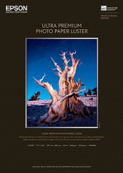 product Epson Ultra Premium Photo Luster Inkjet Paper - 240gsm 8.5x11/50 Sheets