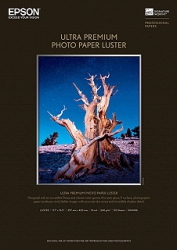 Epson Ultra Premium Photo Paper Luster 8.5x11/50 sheets