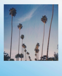 Polaroid Originals Color i-Type Film Summer Blues Edition