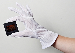 Dotline Anti Static Gloves - Large