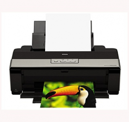 Epson Stylus Photo R1900 Ink Jet Printer