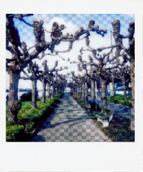 KONO!RAMA No. 2 Effect Layer for Fuji Instax Square