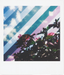 KONO!RAMA No.3 Effect Layer for Fuji Instax Square