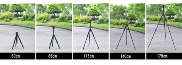 Somita ST-650 62&quot; Tripod with Pan/Tilt Head