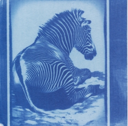 Printed on uncoated Edition Etching paper. Double coated (coated, dried, coated, dried). Exposed for 15-20 minutes in an Arista UV Lightsource.