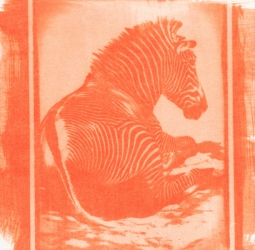 Printed on uncoated Edition Etching paper. Double coated (coated, dried, coated, dried). Exposed for 15-20 minutes in an Arista UV Lightsource.