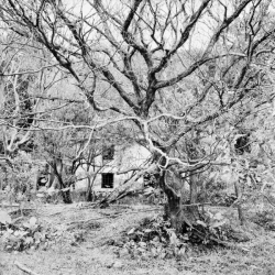 Sample image Rollei RPX 25 ISO 120