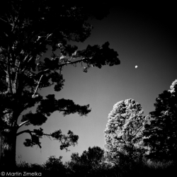 Rollei Infrared 400 ISO 120 size