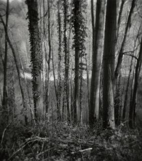 Sample image shot with Holga 120N, Rollei RPX 400 develoeed at 640 ISO in Moersch Eco film developer 2:1:40 15 min.