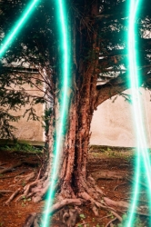 Revolog Lazer 200 ISO 
