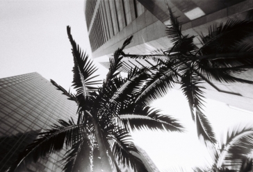 Lomography Simple Use Film Camera Black 