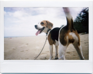 Lomography Lomo&#039;Instant 