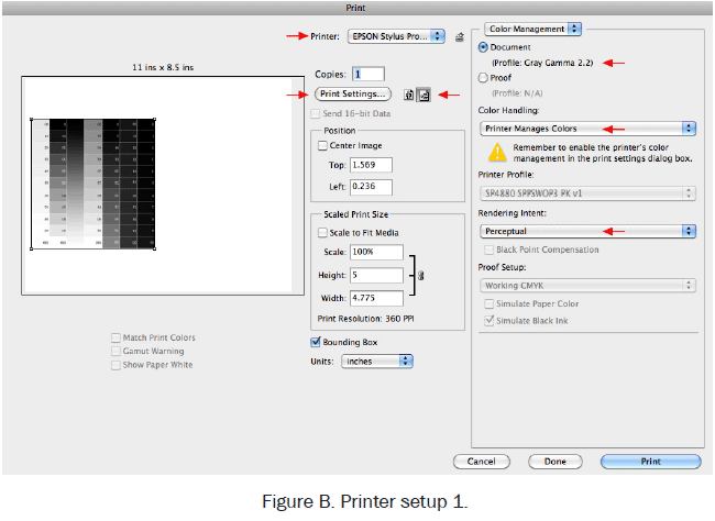 Figure B, Printer Setup #1