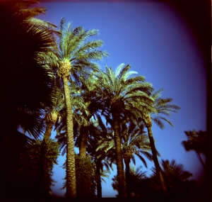 Holga by Michael Tullberg