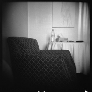 Lesley Krane - Holga Shot of Room